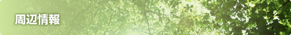 周辺情報